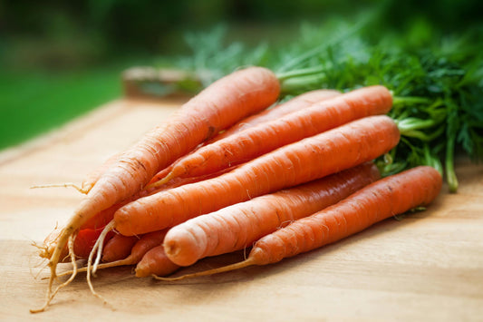 Carrot Seed Oil