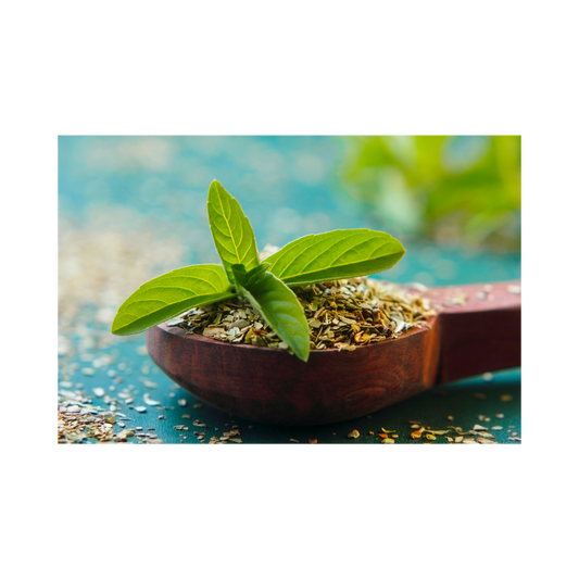 Tulsi Powder