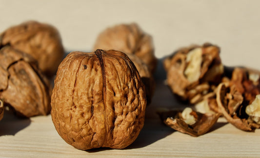 Walnut Oil