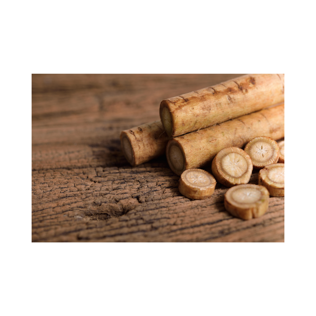 Burdock Root Extract