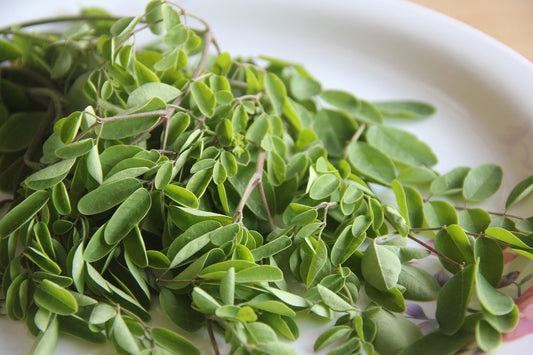 Moringa Oil