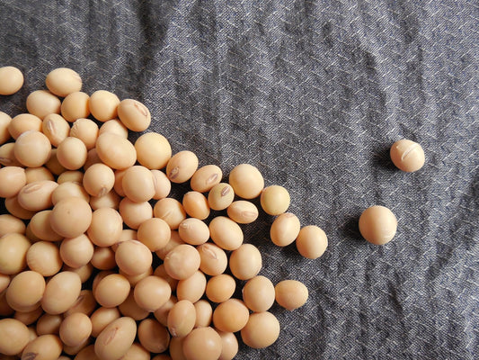 Soy Oil